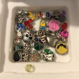 Origami Rose Gold Owl Locket & SS Charms
